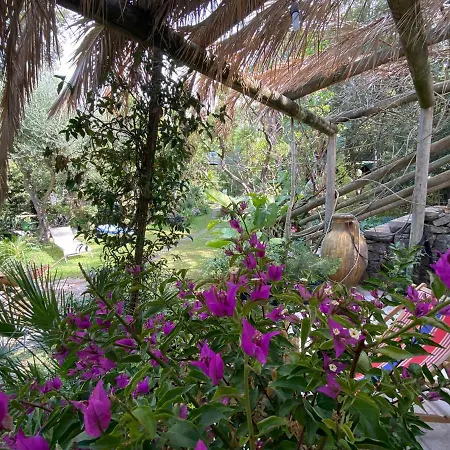 Le Dimore Di Zaro - Paradise Appartement Forio di Ischia