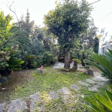 Apartmán Le Dimore Di Zaro - Paradise