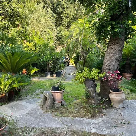 Apartmán Le Dimore Di Zaro - Paradise Forio di Ischia