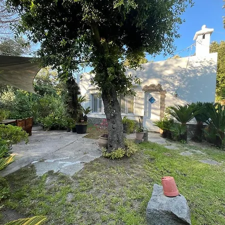 Le Dimore Di Zaro - Paradise Apartmán Forio di Ischia