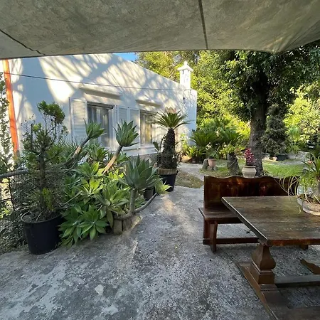 Le Dimore Di Zaro - Paradise * Forio di Ischia