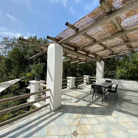 Le Dimore Di Zaro - Paradise Apartment Forio di Ischia
