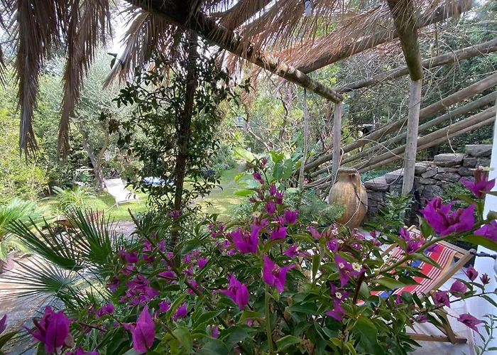 Le Dimore Di Zaro - Paradise Appartement Forio di Ischia