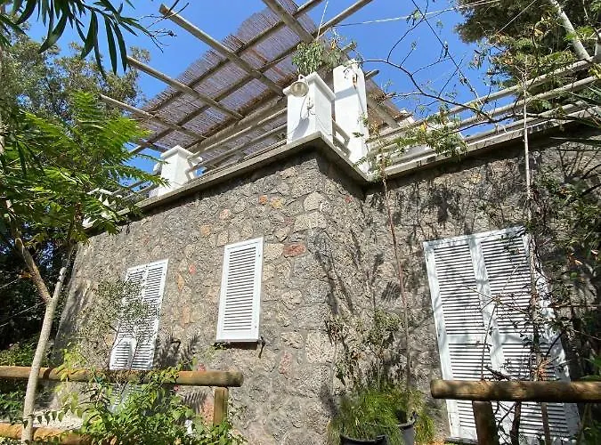 Le Dimore Di Zaro - Paradise * Forio di Ischia