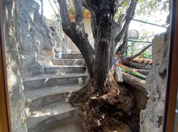 아파트 Le Dimore Di Zaro - Paradise Forio di Ischia